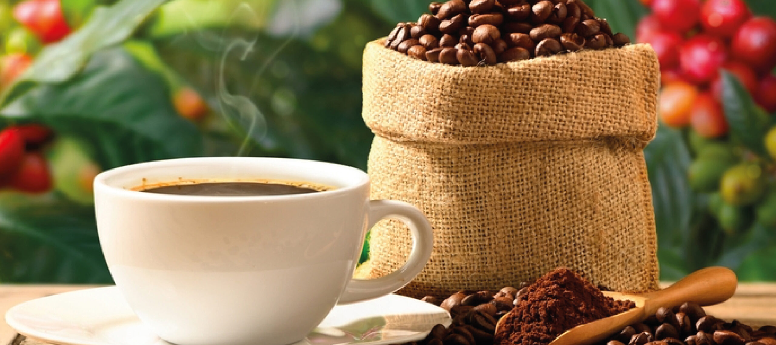 Ruta del Café: Conociendo Centroamérica desde el paladar.