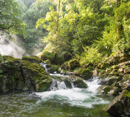 Parque Nacional Pico Bonito