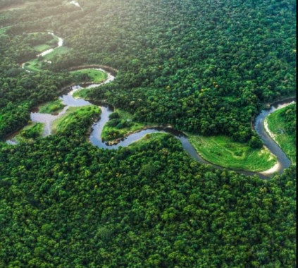 Reserva de Biósfera: Río Platano