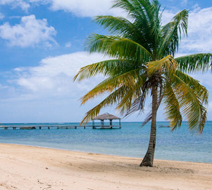 Playas / Guatemala