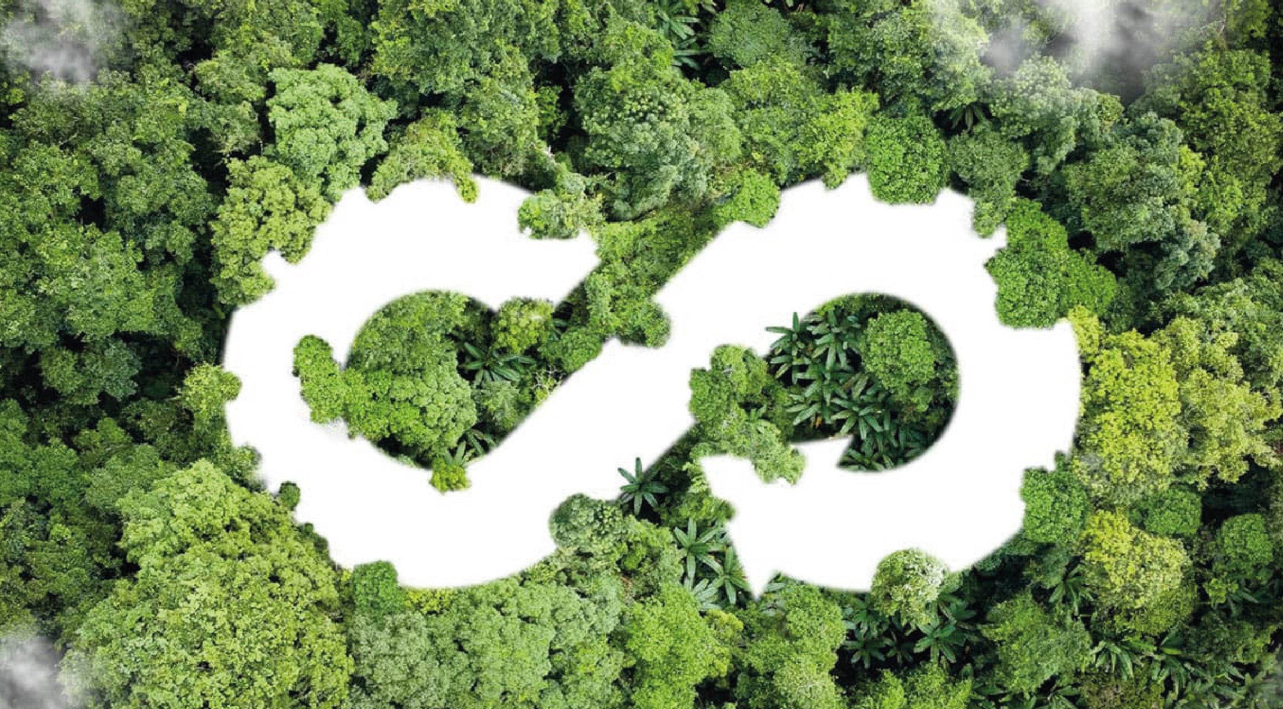 La economía circular en Centroamérica: Proyectos financieros que impulsan la sostenibilidad.