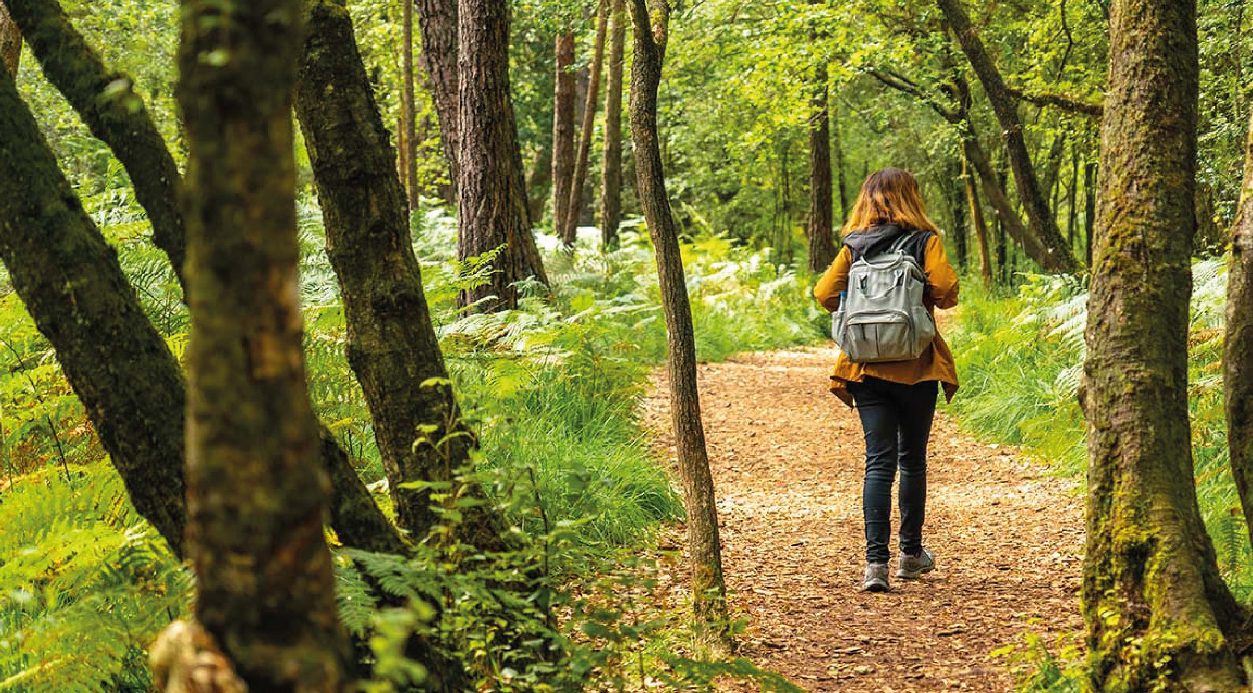 Desintoxicación digital: Recargue su mente en 2025.