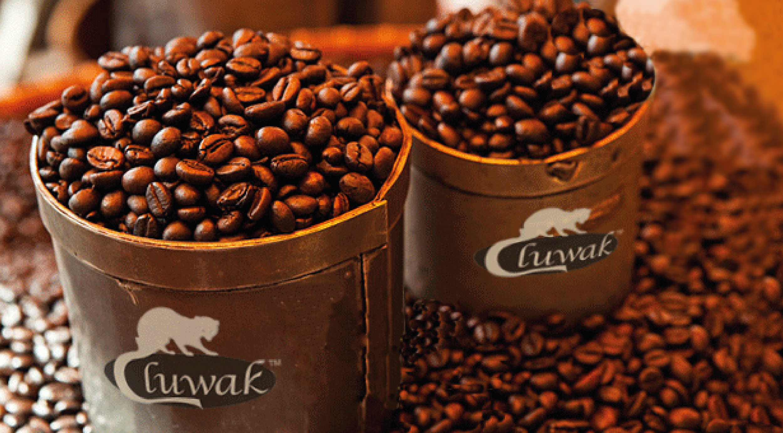 Kopi Luwak: El café más raro y costoso del mundo.