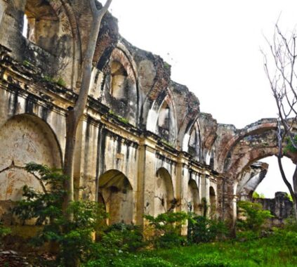 120087655_10157491769021892_7870780128932348561_n