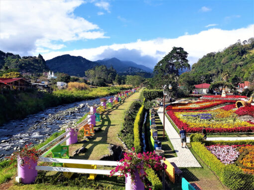 6a1ecf_d934333bbad44dfea85600d8899e82e3~mv2