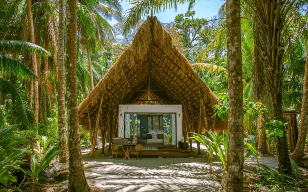 Experiencias con sentido: el valor de elegir con conciencia